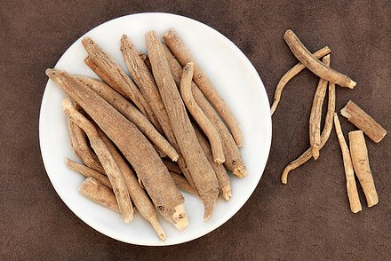 Withania somnifera - Ashwagandha